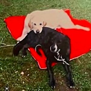 Bundle save more🌟🌟🌟🌟🌟